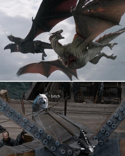 cheezburger趣图的的INS图片-(2019-05-11 04:10:06)Want more #gameofthrones #memes? visit our bio link⠀
⠀
 #jonsnow #hbo #daenerystargaryen #emiliaclarke #targaryen #daenerys #khaleesi #aryastark #lannister #kitharington #winteriscoming #motherofdragons #winterfell #sansastark #maisiewilliams #sophieturner #housestark #westeros #gameofthronesfamily #peterdinklage #tyrionlannister #ironthrone #thenorthremembers #winterishere #stark #youknownothingjonsnow #gots8 #got