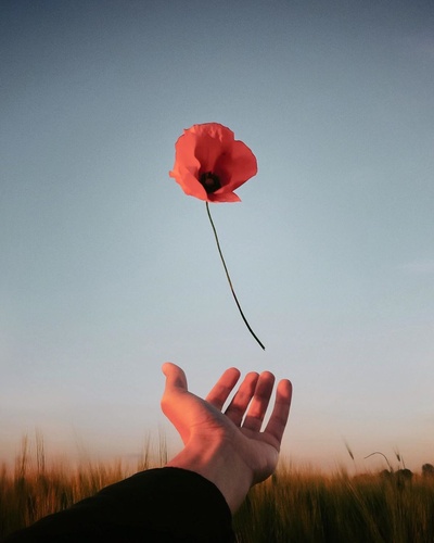 旅行@brahmino的的INS图片-(2020-04-25 20:32:52){ Bella Ciao } • The red poppy is the symbol of those men and women who fought against Nazifascism, even dying for the freedom of all.
And on April 25, in Italy, we celebrate the Liberation Day.
This day remind us how being open to the world, solidarity and cooperation, unite people.

And I think that today in many cities of Italy everyone will sing along with a song called 'Bella Ciao'.
#iorestolibero #25aprile #whatitalyis

For friends from Australia and New Zealand #lestweforget and from Portugal.