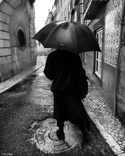 西班牙摄影师Rui Palha的的INS图片-(2019-05-23 15:12:50)Rainy day