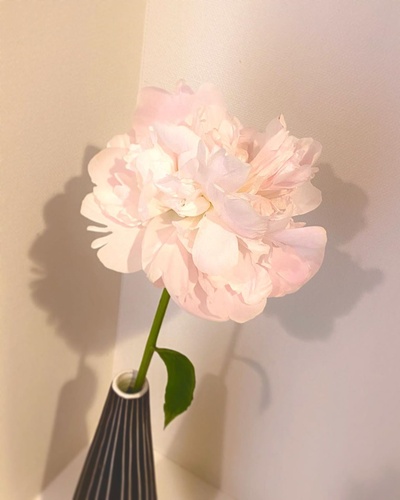 比嘉爱未的的INS图片-(2020-05-10 11:00:44)Mothers day