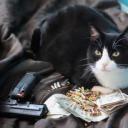 现金猫