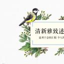 唯美清新(职场女人用)PPT模板
