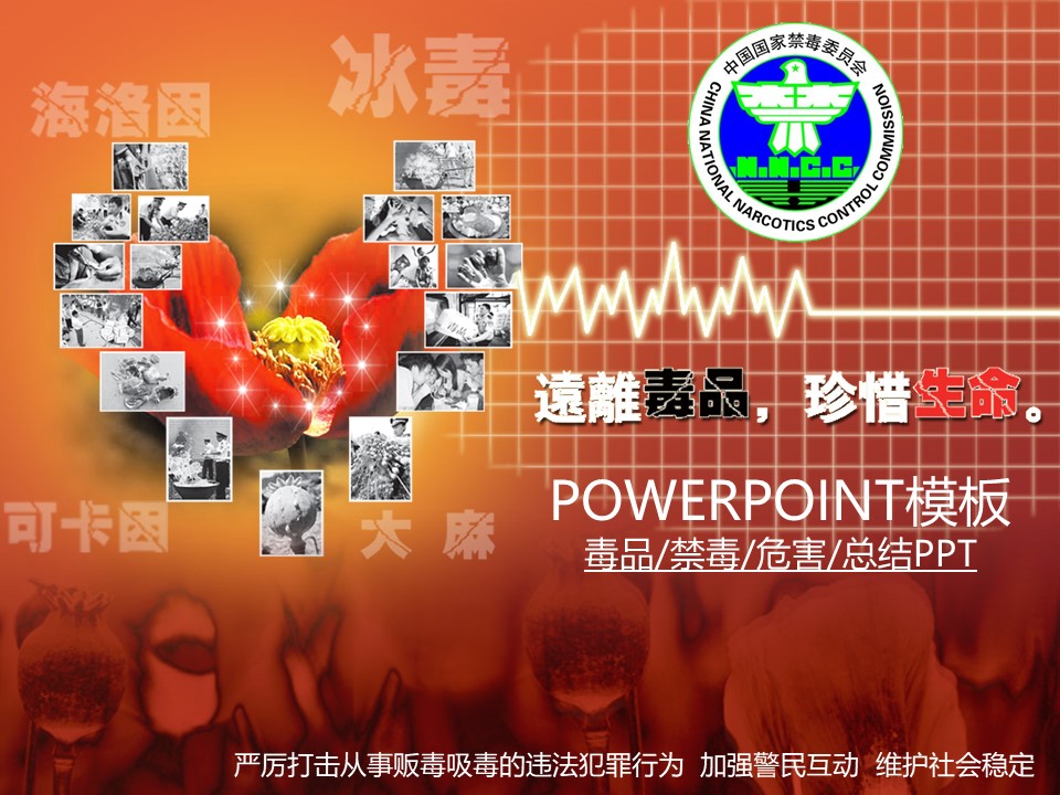  禁毒宣传PPT模板-点击图片预览PPT内容。