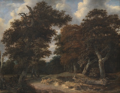 荷兰海牙市立美术馆藏画高清实拍的油画作品-Jacob_Isaacksz._van_Ruisdael_-_Road_through_an_Oak_Forest