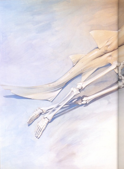 Venom-Hajime.Sorayama(毒液-空山基).Hajime Sorayama - Venom Artbook的作品