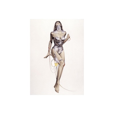 Vibrant.Vixens((空山基新书).硬皮精装大开本.Vibrant Vixens((空山基新书)的作品