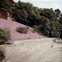 乔 斯坦菲尔德Joel Sternfeld 摄影作品集