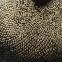 爱德华斯泰肯（Edward Steichen）摄影集.A89-Edward Steichen