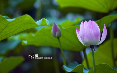 自然风光的图片