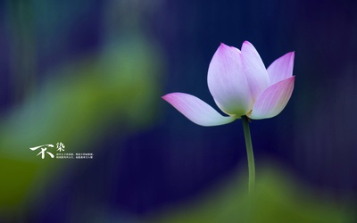 自然风光的图片