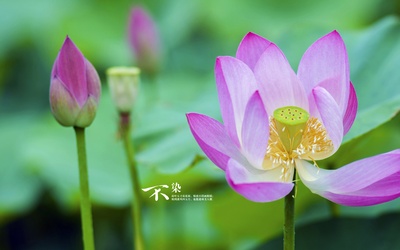 自然风光的图片