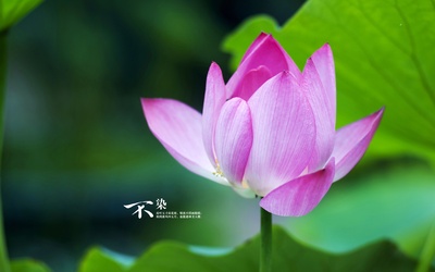 自然风光的图片