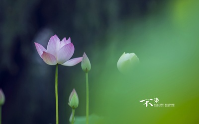 自然风光的图片