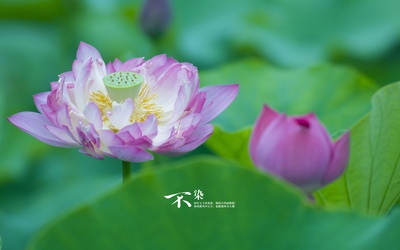 自然风光的图片