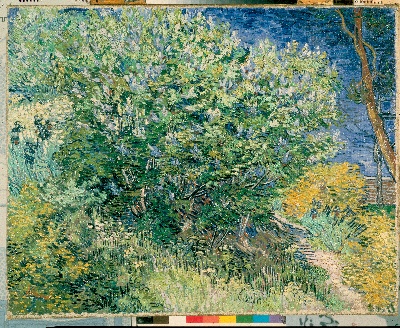 风景1.梵高风景画1的油画作品-Gogh,_Vincent_van_-_Lilac_Bush