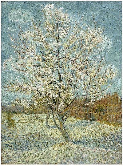 风景3.梵高 风景画2的油画作品-The Pink Peach Tree 1888