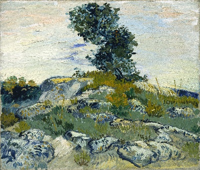 风景3.梵高 风景画2的油画作品-The Rocks 1888