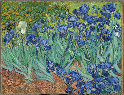 梵高静物作品的油画作品-Irises 1889