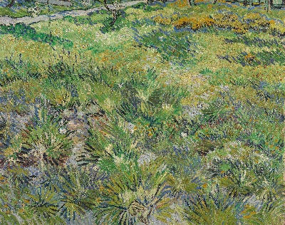 风景2.梵高风景作品3的油画作品-Long Grass with Butterflies1890