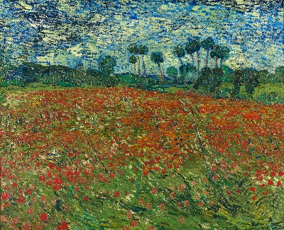 风景2.梵高风景作品3的油画作品-Poppy field June 1890