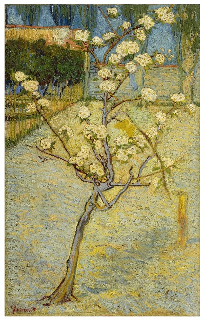 风景2.梵高风景作品3的油画作品-Small pear tree in blossom (April 1888 - 1888)