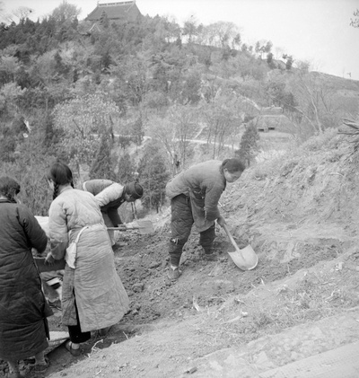 中国老照片(1932-1973)第一辑的摄影作品-图718-（1937年）重庆（中国），妇女在山坡上挖沟