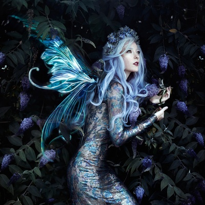 Bella Kotak的摄影作品