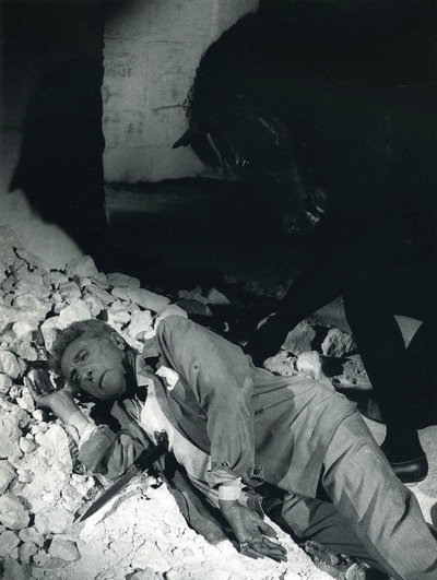 吕西安·克雷尔格 (Lucien Clergue)摄影作品的摄影作品