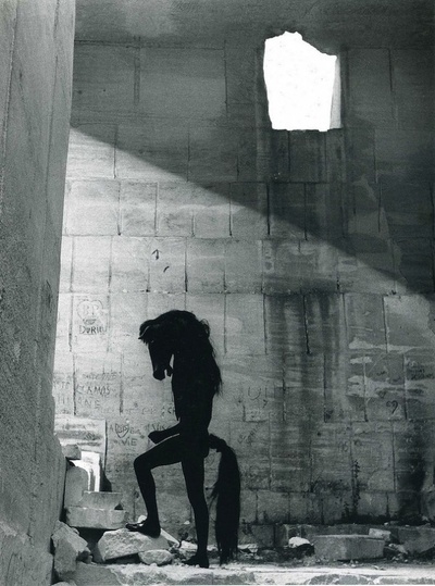 吕西安·克雷尔格 (Lucien Clergue)摄影作品的摄影作品