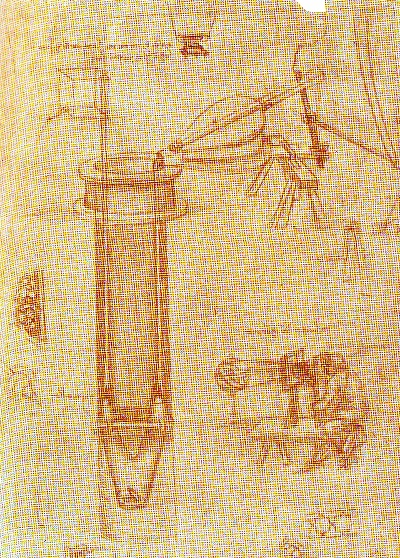达芬奇素描的油画作品-D达芬奇素描--9