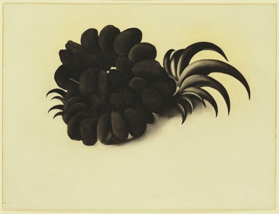 【美国】乔治亚欧姬芙(Georgia OKeefe)绘画的油画作品