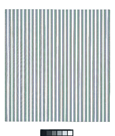 赖利的油画作品-bridget-riley-vapour