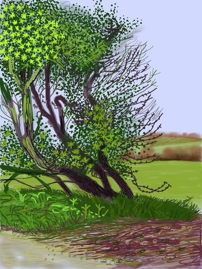 大卫霍克尼的油画作品-2011The Arrival of Spring in Woldgate, East Yorkshire(iPad drawing printed)7