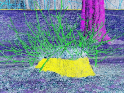 大卫霍克尼的油画作品-2012A Small Stump Near A Bigger Tree
