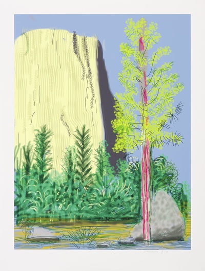 大卫霍克尼的油画作品-2010The Yosemite Suite No.22