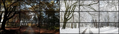 大卫霍克尼的油画作品-2010Nov 7th, Nov 26th Woldgate Wood 1130am & 930am