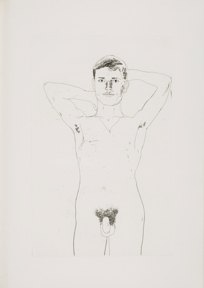 大卫霍克尼的油画作品-1966Editions Alecto