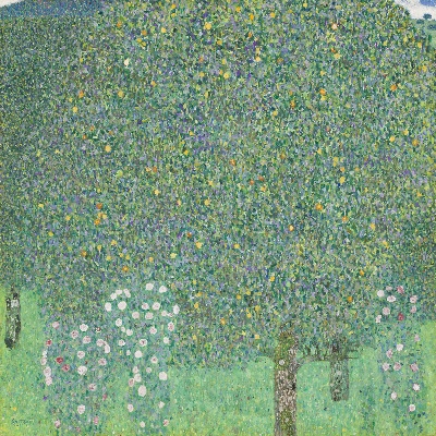 克里姆特油画和素描的油画作品-Gustav_Klimt_-_Rosebushes_under_the_Trees_
