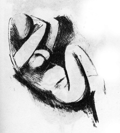 马蒂斯素描作品的油画作品-518 马蒂斯