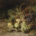 STILLLIFE静物之王1