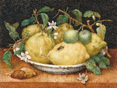 STILLLIFE静物之王1的油画作品-111#MH099=静物の王