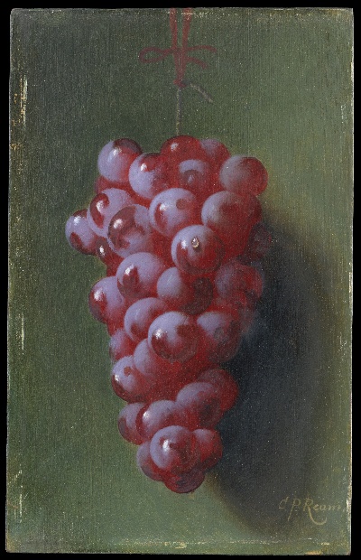 STILLLIFE静物之王4的油画作品-237#MH099=静物の王