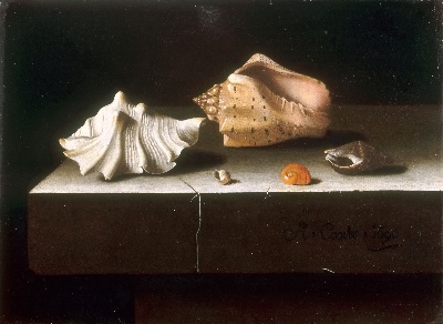 STILLLIFE静物之王5的油画作品-221#MH099=静物の王