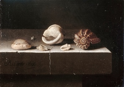 STILLLIFE静物之王5的油画作品-226#MH099=静物の王
