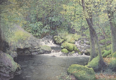 黄有维水彩画高清图集1的油画作品-森林-2