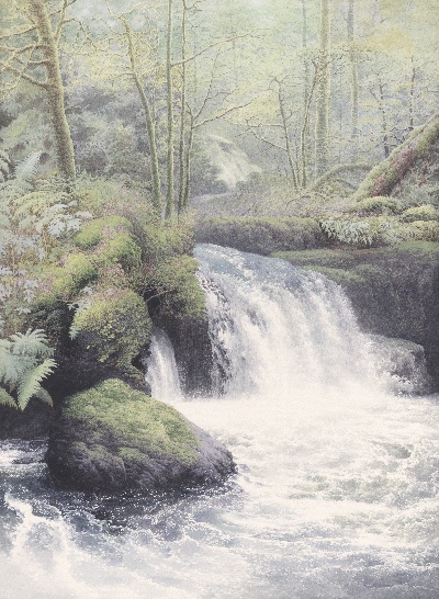 黄有维水彩画高清图集2的油画作品-森林-5