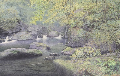 黄有维水彩画高清图集2的油画作品-森林-6