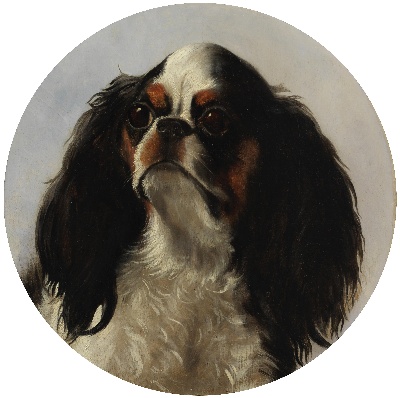 GO DOG犬题材油画高清图的油画作品-GODOG犬题材第二季1501=19