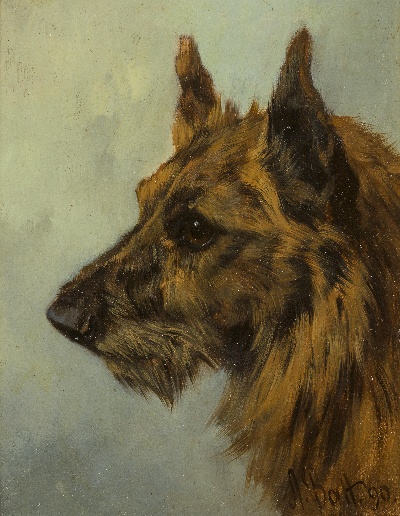 GO DOG犬题材油画高清图的油画作品-GODOG犬题材第二季1501=03