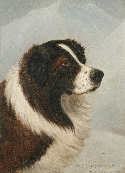 GO DOG犬题材油画高清图的油画作品-GODOG犬题材第二季1501=44